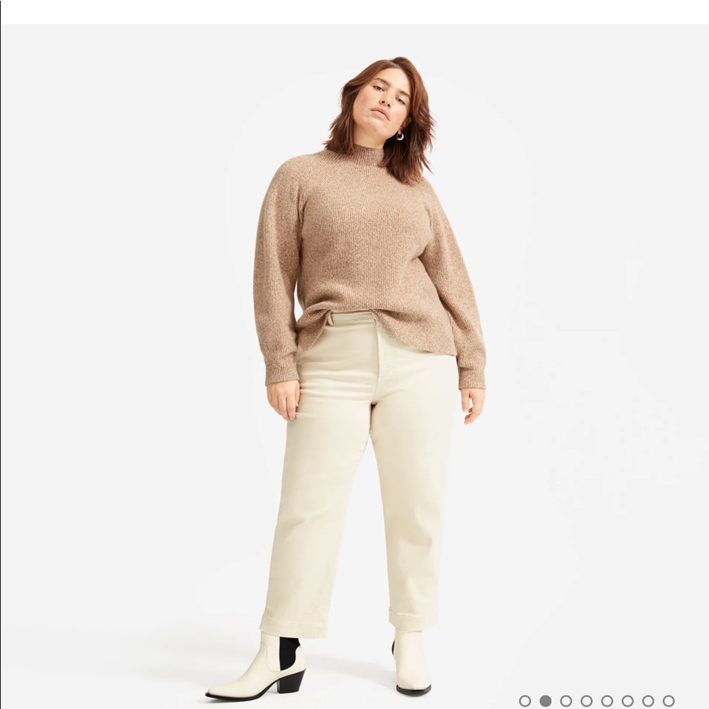 Everlane Straight Leg Crop